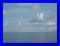 IMG_4291